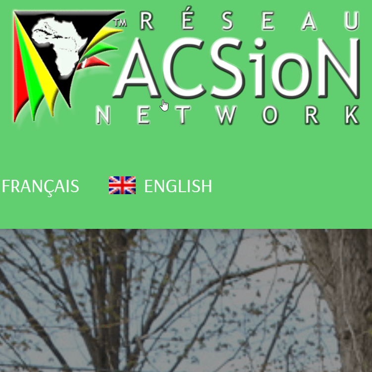 ACSioN Network of Canada - Black organization in Montreal QC