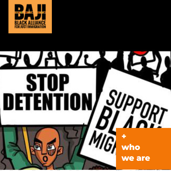 African American Nonprofits Near Me - Black Alliance for Just Immigration