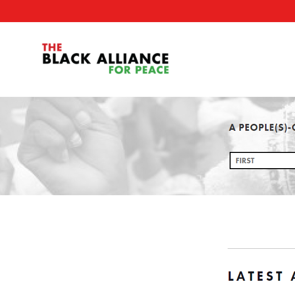 Black Alliance for Peace - Black organization in Bronx NY