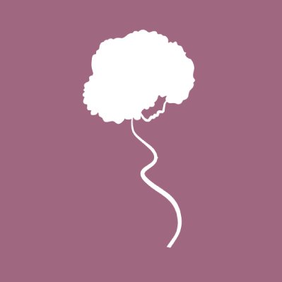 Black Mamas Matter Alliance