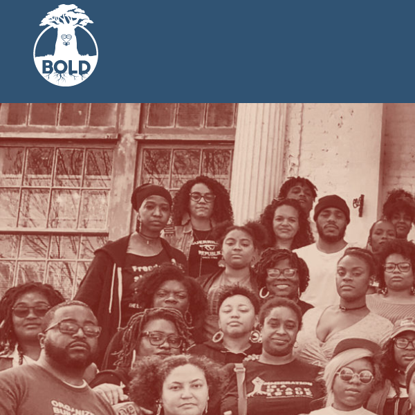 Black Nonprofits Near Me - Black Organizing for Leadership and Dignity