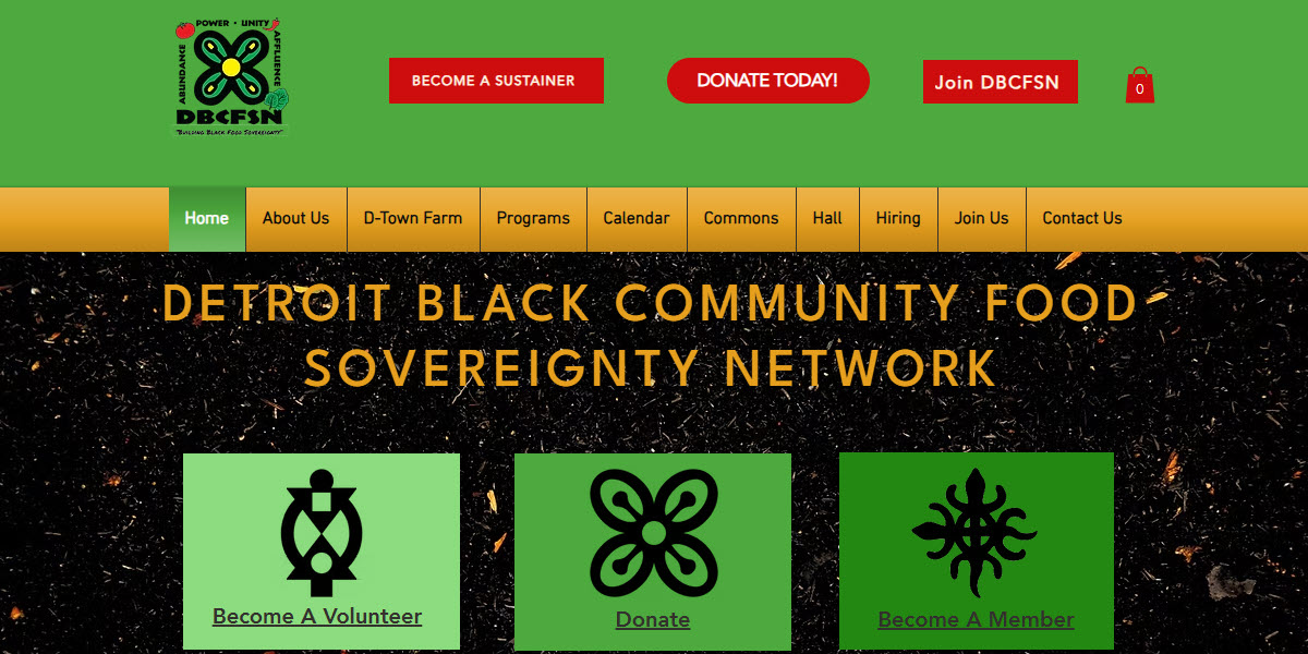 Detroit Black Community Food Security Network