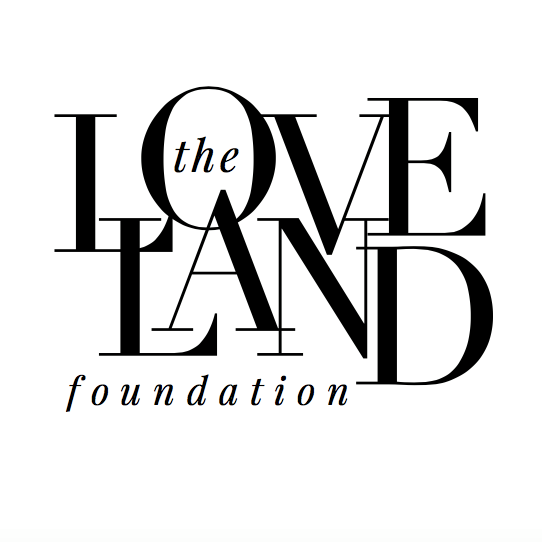 African American Nonprofits Near Me - Loveland Foundation