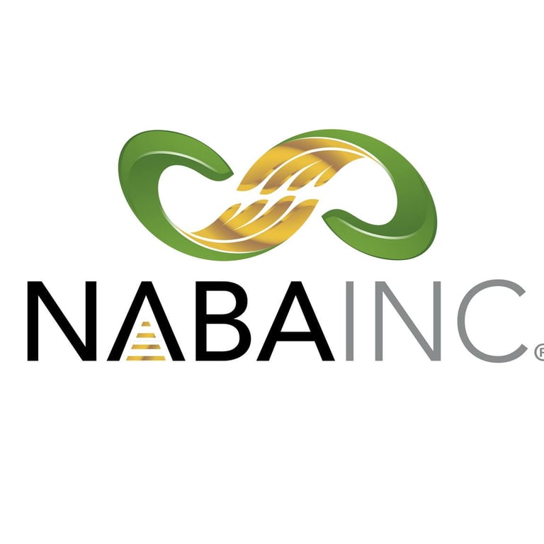 National Association of Black Accountants, Inc. Richmond Chapter
