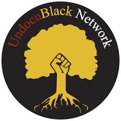 Black Organization Near Me - UndocuBlack Network